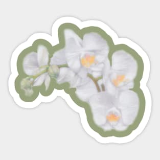 Orchid Sticker